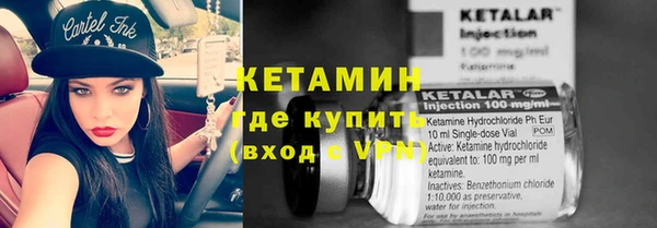 трава Белокуриха
