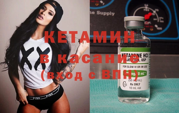 трава Белокуриха