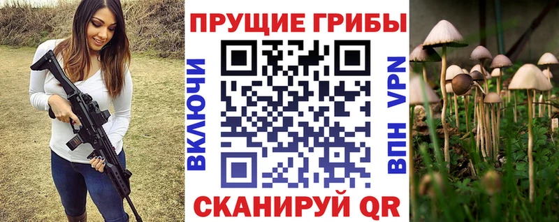 Галлюциногенные грибы Psilocybe Шумерля
