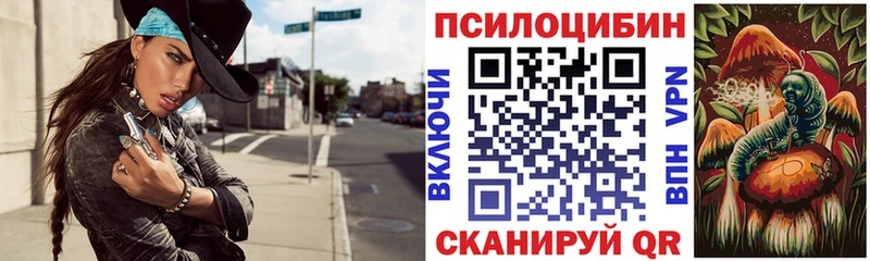 omg зеркало  Шумерля  Галлюциногенные грибы Psilocybine cubensis 