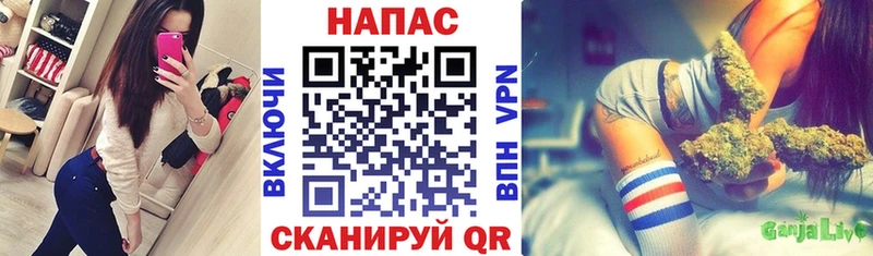 площадка официальный сайт  Шумерля  Бошки марихуана план 